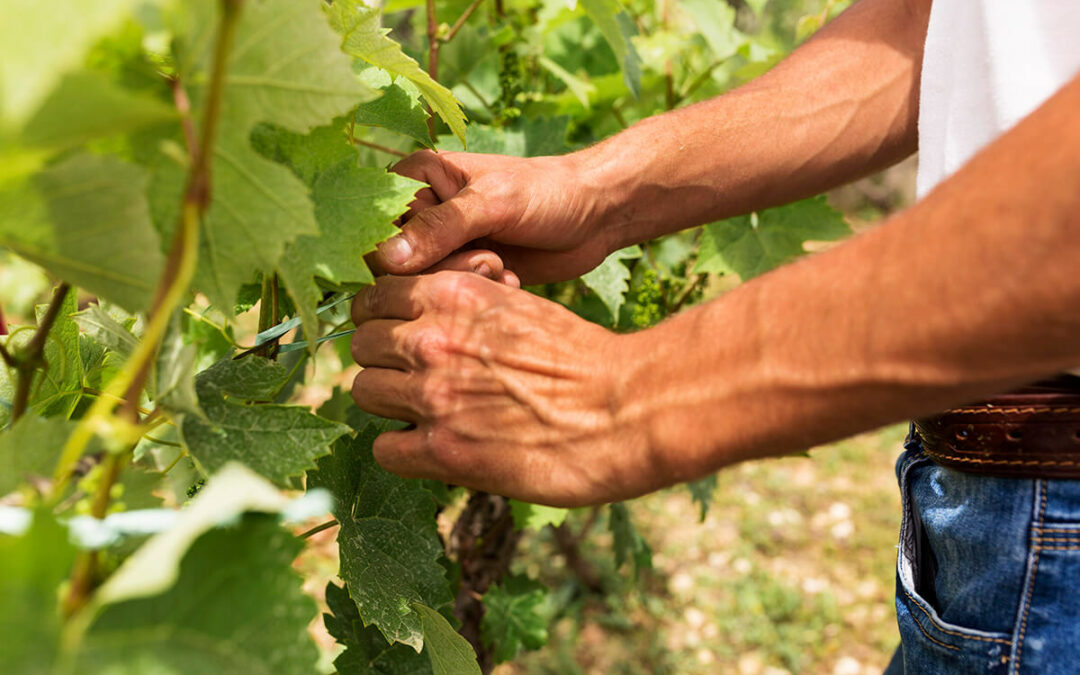 Feugiat in ante metus dictum at  tempor commodo