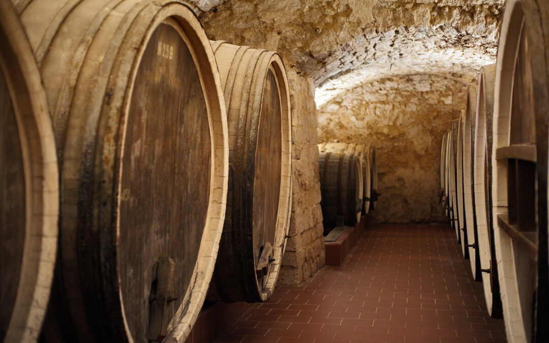 Adipiscing tristique risus nec feugiat in fermentum